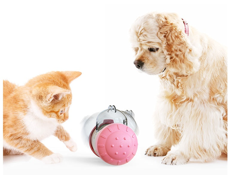 Distributeur de Friandises Pour Chien