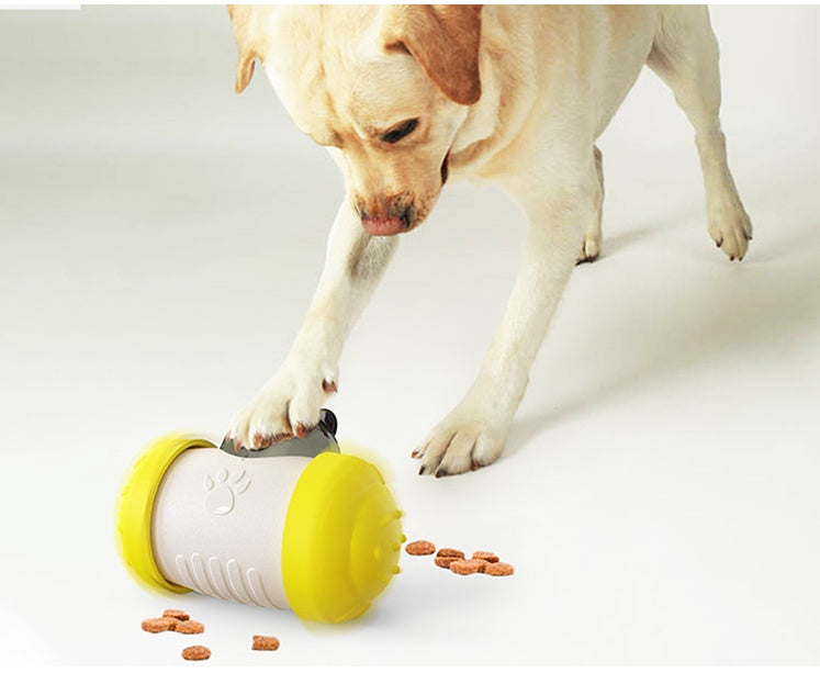 Distributeur de Friandises Pour Chien