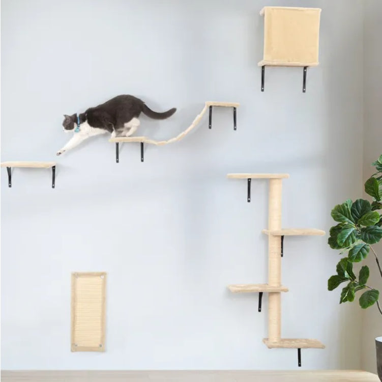 Ensemble d'Escalade Mural pour Chat (5 pièces)