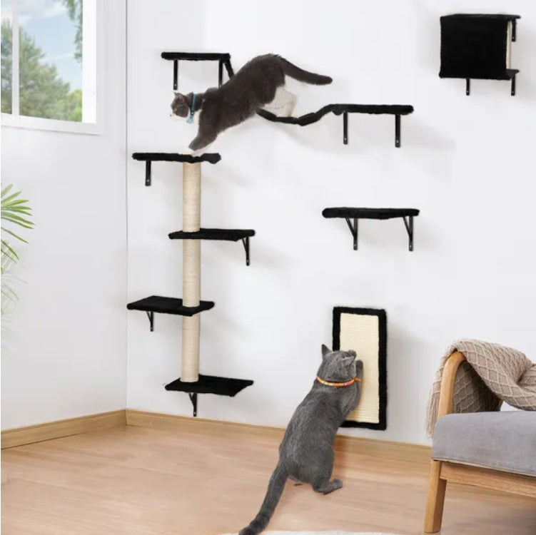 Ensemble d'Escalade Mural pour Chat (5 pièces)
